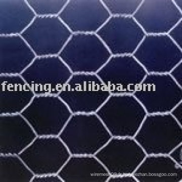 Poulet / Hexagonal Wire Mesh (5% de réduction en janvier 2012) En, BS, Din standard